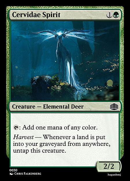 0030 Cervidae Spirit.jpg